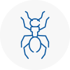 Ant Removals In Teignmouth