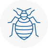 Bed Bug Extermination In Teignmouth