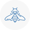 Bee Nest Removal Teignmouth