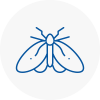 Moth Control Specialists In Teignmouth