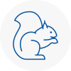 Teignmouth Rodent Removals